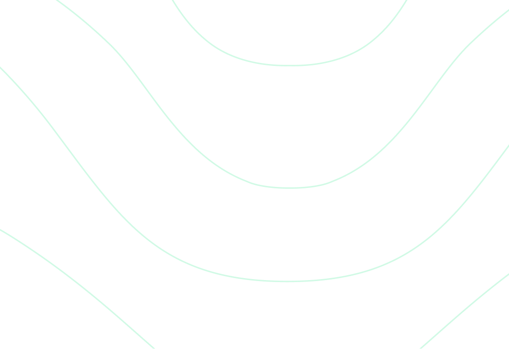 Decorative curve